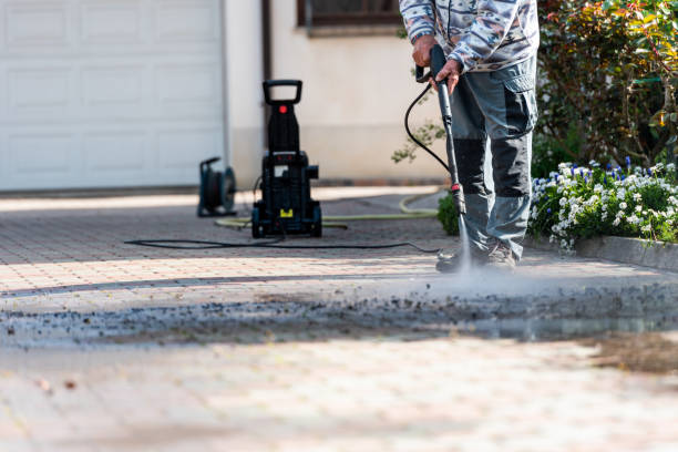 Best Exterior Home Cleaning  in Strawberry Point, IA